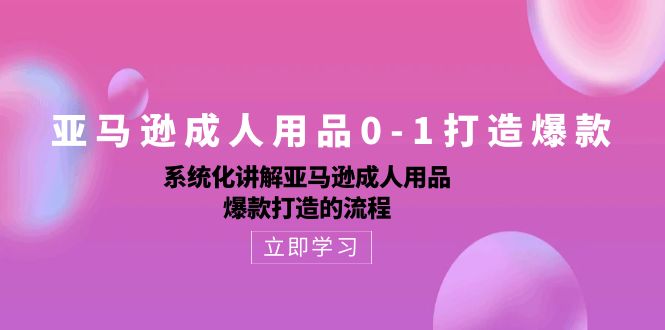 亚马逊成人用品0-1打造爆款：系统化讲解亚马逊成人用品爆款打造的流程_111创业网-互联网轻创第一站