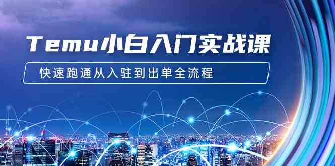 （9295期）Temu小白入门实战课：跨境拼多多电商培训 快速跑通从入驻到出单全流程-12节_111创业网-互联网轻创第一站