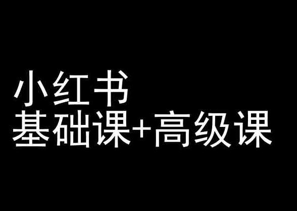 小红书基础课+高级课-小红书运营教程_111创业网-互联网轻创第一站