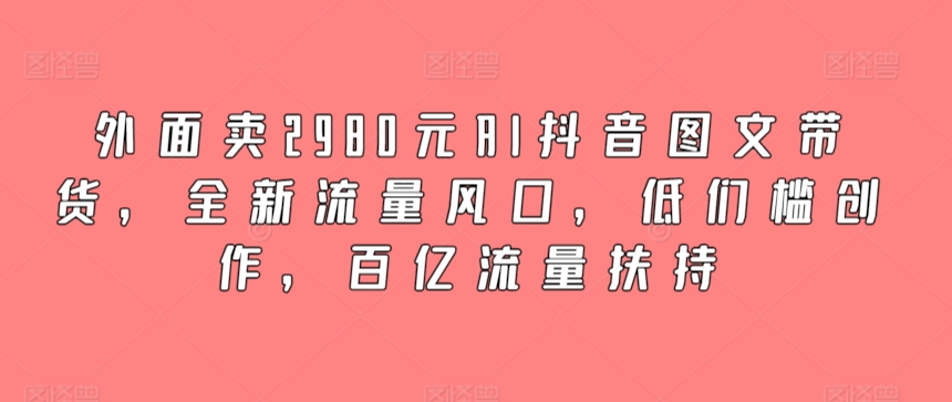 外面卖2980元AI抖音图文带货，全新流量风口，低们槛创作，百亿流量扶持_111创业网-互联网轻创第一站