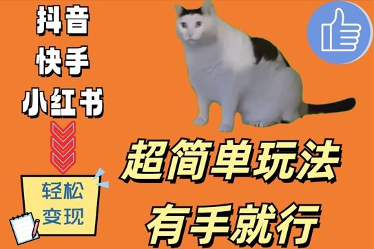 超简单玩法，有手就行，靠猫咪视频日入500+【揭秘】_111创业网-互联网轻创第一站