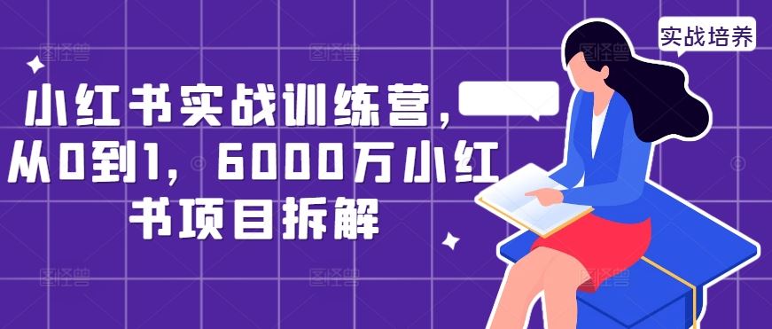 小红书实战训练营，从0到1，6000万小红书项目拆解_111创业网-互联网轻创第一站