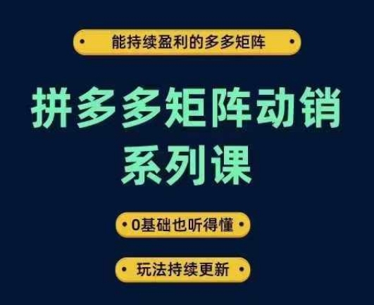 拼多多矩阵动销系列课，能持续盈利的多多矩阵，0基础也听得懂，玩法持续更新_111创业网-互联网轻创第一站