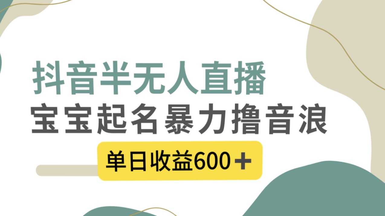 抖音半无人直播，宝宝起名，暴力撸音浪，单日收益600+_111创业网-互联网轻创第一站