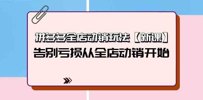 （9974期）拼多多全店动销玩法【新课】，告别亏损从全店动销开始（4节视频课）_111创业网-互联网轻创第一站