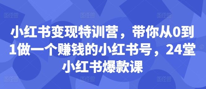小红书变现特训营，带你从0到1做一个赚钱的小红书号，24堂小红书爆款课_111创业网-互联网轻创第一站