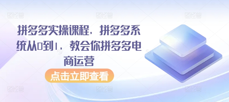 拼多多实操课程，拼多多系统从0到1，教会你拼多多电商运营_111创业网-互联网轻创第一站