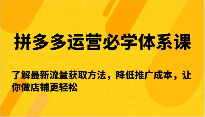 拼多多运营必学体系课-了解最新流量获取方法，降低推广成本，让你做店铺更轻松_111创业网-互联网轻创第一站