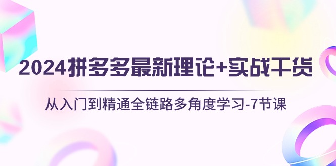 （10816期）2024拼多多 最新理论+实战干货，从入门到精通全链路多角度学习-7节课_111创业网-互联网轻创第一站