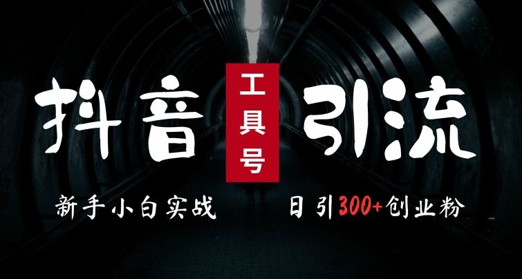 2024最新抖音工具号引流玩法，高效日引300+创业粉，当天变现5k，小白也可成为实战高手_111创业网-互联网轻创第一站
