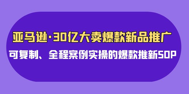 亚马逊30亿大卖爆款新品推广，可复制、全程案例实操的爆款推新SOP_111创业网-互联网轻创第一站
