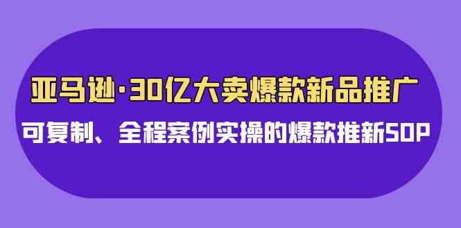 （9944期）亚马逊30亿·大卖爆款新品推广，可复制、全程案例实操的爆款推新SOP_111创业网-互联网轻创第一站