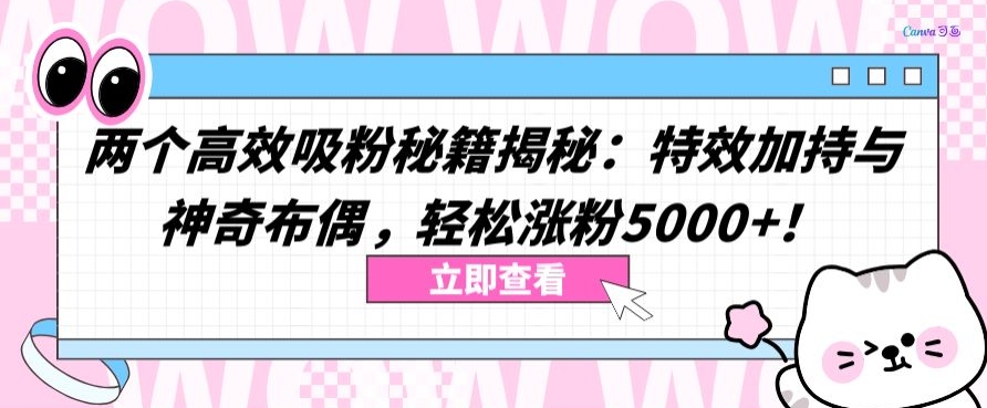 两个高效吸粉秘籍揭秘：特效加持与神奇布偶，轻松涨粉5000+_111创业网-互联网轻创第一站