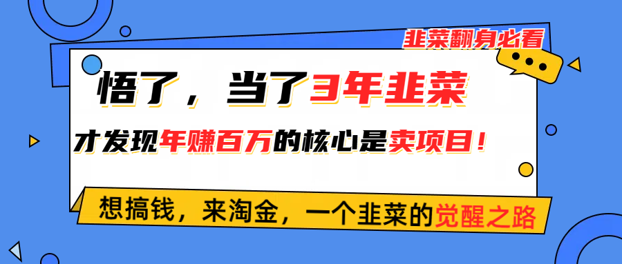 （10759期）悟了，当了3年韭菜，才发现网赚圈年赚100万的核心是卖项目，含泪分享！_111创业网-互联网轻创第一站