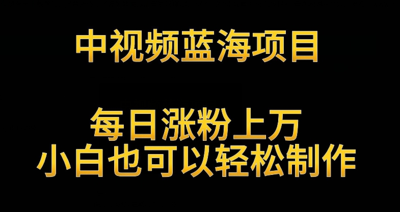 中视频蓝海项目，解读英雄人物生平，每日涨粉上万，小白也可以轻松制作，月入过万不是梦_111创业网-互联网轻创第一站