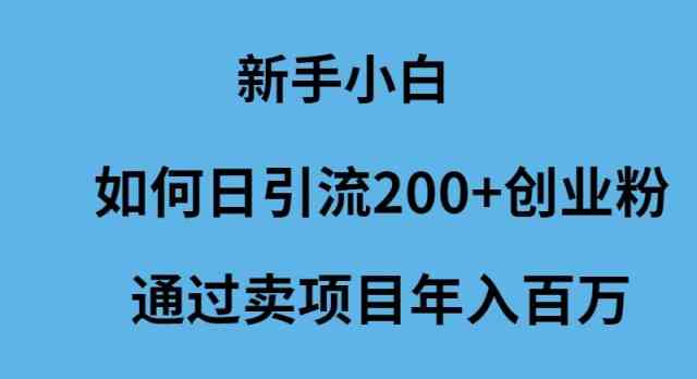 （9668期）新手小白如何日引流200+创业粉通过卖项目年入百万_111创业网-互联网轻创第一站