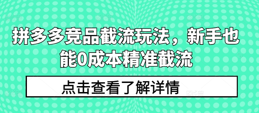 拼多多竞品截流玩法，新手也能0成本精准截流_111创业网-互联网轻创第一站