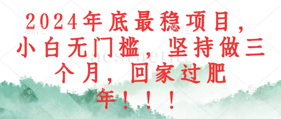 （12970期）2024年底最稳项目，小白无门槛，坚持做三个月，回家过肥年！！！_111创业网-互联网轻创第一站