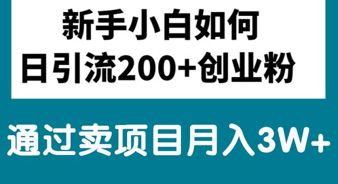 （10843期）新手小白日引流200+创业粉,通过卖项目月入3W+_111创业网-互联网轻创第一站