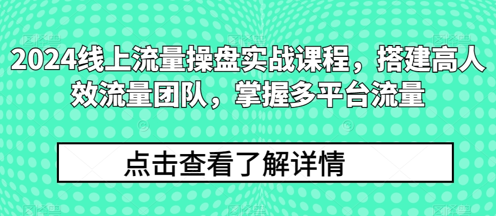 2024线上流量操盘实战课程，搭建高人效流量团队，掌握多平台流量_111创业网-互联网轻创第一站