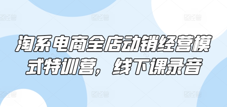 淘系电商全店动销经营模式特训营，线下课录音_111创业网-互联网轻创第一站