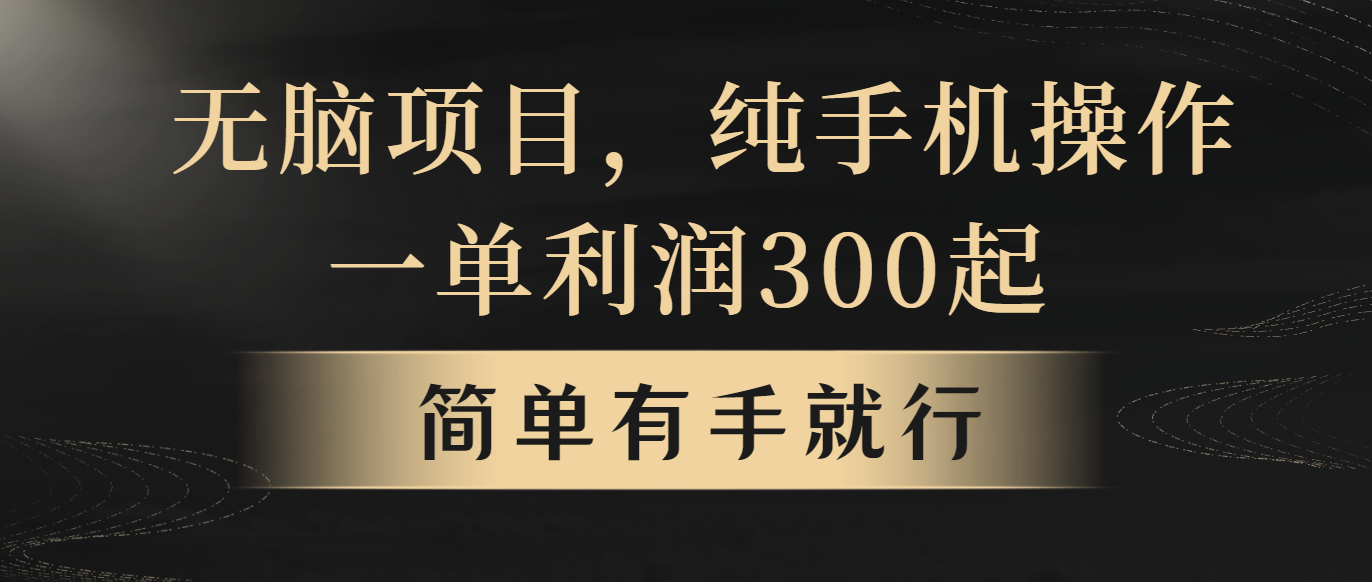 （10699期）无脑项目，一单几百块，轻松月入5w+，看完就能直接操作_111创业网-互联网轻创第一站