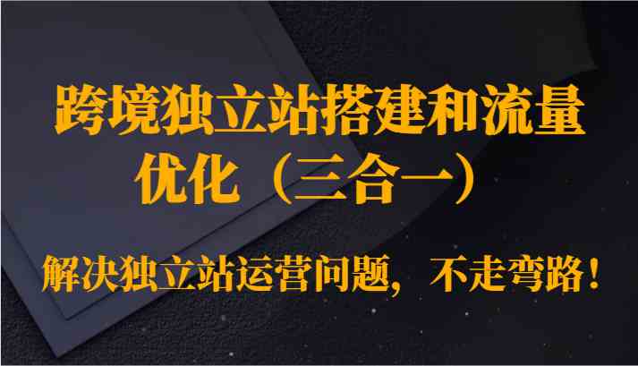跨境独立站搭建和流量优化（三合一）解决独立站运营问题，不走弯路！_111创业网-互联网轻创第一站