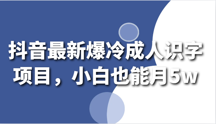 抖音最新爆冷成人识字项目，小白也能月5w_111创业网-互联网轻创第一站