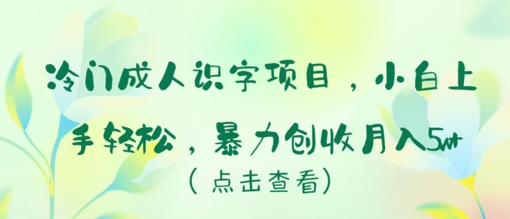 冷门成人识字项目，小白上手轻松，暴力创收月入5w+_111创业网-互联网轻创第一站