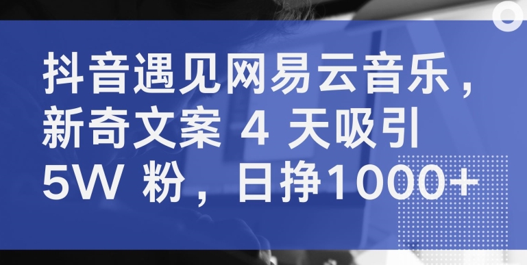 抖音遇见网易云音乐，新奇文案 4 天吸引 5W 粉，日挣1000+_111创业网-互联网轻创第一站