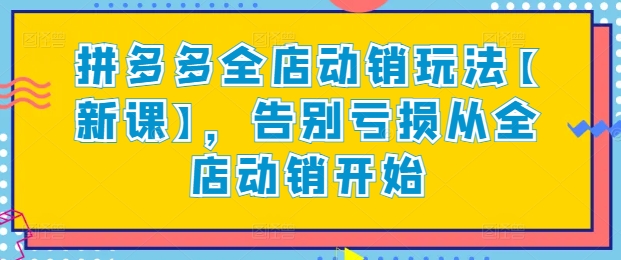拼多多全店动销玩法【新课】，告别亏损从全店动销开始_111创业网-互联网轻创第一站