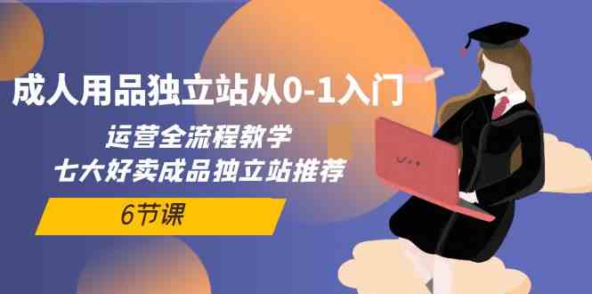 （10082期）成人用品独立站从0-1入门，运营全流程教学，七大好卖成品独立站推荐-6节课_111创业网-互联网轻创第一站