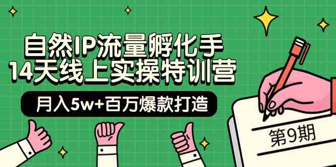 自然IP流量孵化手14天线上实操特训营【第9期】月入5w+百万爆款打造 (74节)_111创业网-互联网轻创第一站