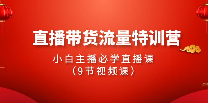 2024直播带货流量特训营，小白主播必学直播课（9节视频课）_111创业网-互联网轻创第一站