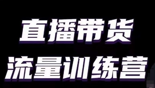 直播带货流量训练营，小白主播必学直播课_111创业网-互联网轻创第一站