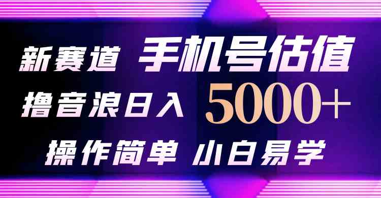 （10154期）抖音不出境直播【手机号估值】最新撸音浪，日入5000+，简单易学，适合…_111创业网-互联网轻创第一站