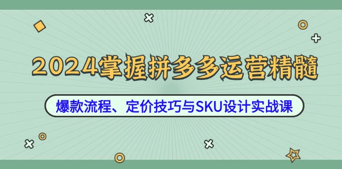 2024掌握拼多多运营精髓：爆款流程、定价技巧与SKU设计实战课_111创业网-互联网轻创第一站