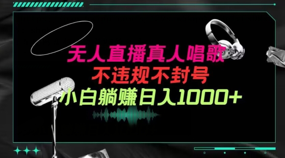 抖音24小时无人直播音乐，不违规，不封号纯撸音浪，小白实操当天日入1000+_111创业网-互联网轻创第一站