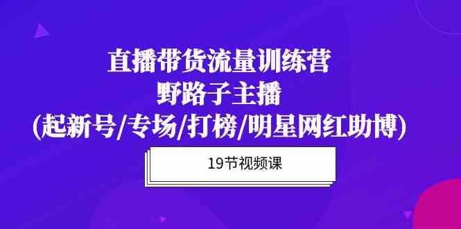 直播带货流量特训营，野路子主播(起新号/专场/打榜/明星网红助博)_111创业网-互联网轻创第一站