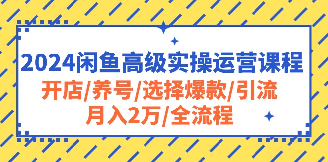 （10711期）2024闲鱼高级实操运营课程：开店/养号/选择爆款/引流/月入2万/全流程_111创业网-互联网轻创第一站