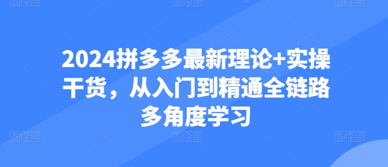 2024拼多多最新理论+实操干货，从入门到精通全链路多角度学习_111创业网-互联网轻创第一站