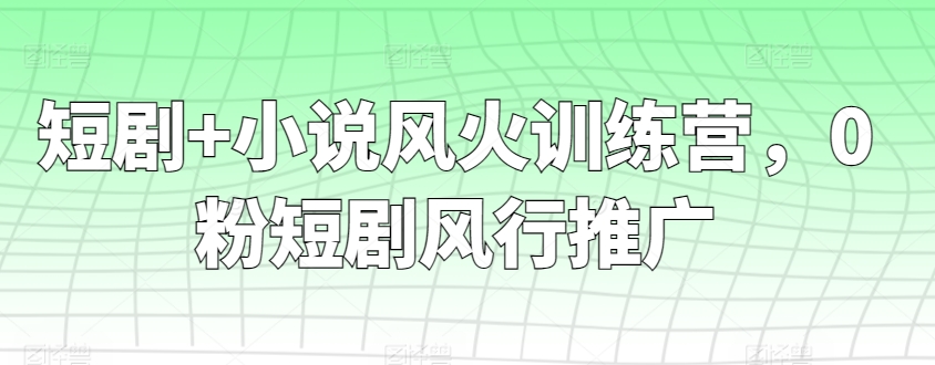 短剧+小说风火训练营，0粉短剧风行推广_111创业网-互联网轻创第一站