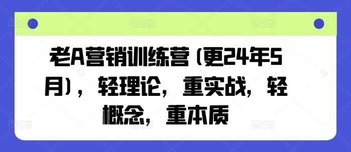 老A营销训练营(更24年10月)，轻理论，重实战，轻概念，重本质_111创业网-互联网轻创第一站