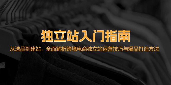 （12882期）独立站入门指南：从选品到建站，全面解析跨境电商独立站运营技巧与爆品…_111创业网-互联网轻创第一站