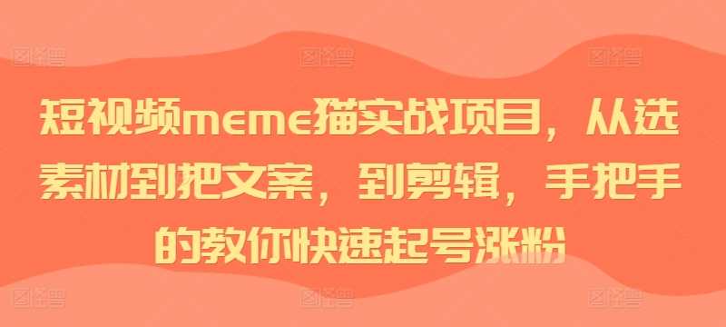 短视频meme猫实战项目，从选素材到把文案，到剪辑，手把手的教你快速起号涨粉_111创业网-互联网轻创第一站