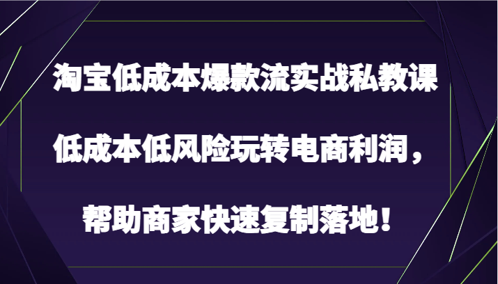 淘宝低成本爆款流实战私教课，低成本低风险玩转电商利润，帮助商家快速复制落地！_111创业网-互联网轻创第一站