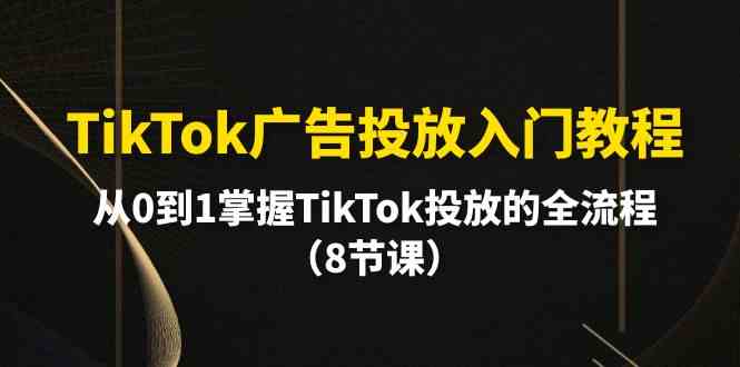 TikTok广告投放入门教程，从0到1掌握TikTok投放的全流程（8节课）_111创业网-互联网轻创第一站