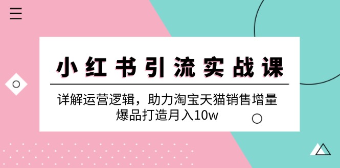 （12809期）小红书引流实战课：详解运营逻辑，助力淘宝天猫销售增量，爆品打造月入10w_111创业网-互联网轻创第一站