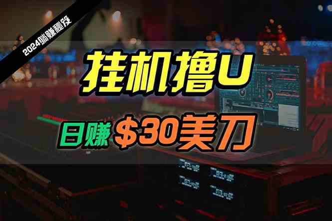（10013期）日赚30美刀，2024最新海外挂机撸U内部项目，全程无人值守，可批量放大_111创业网-互联网轻创第一站