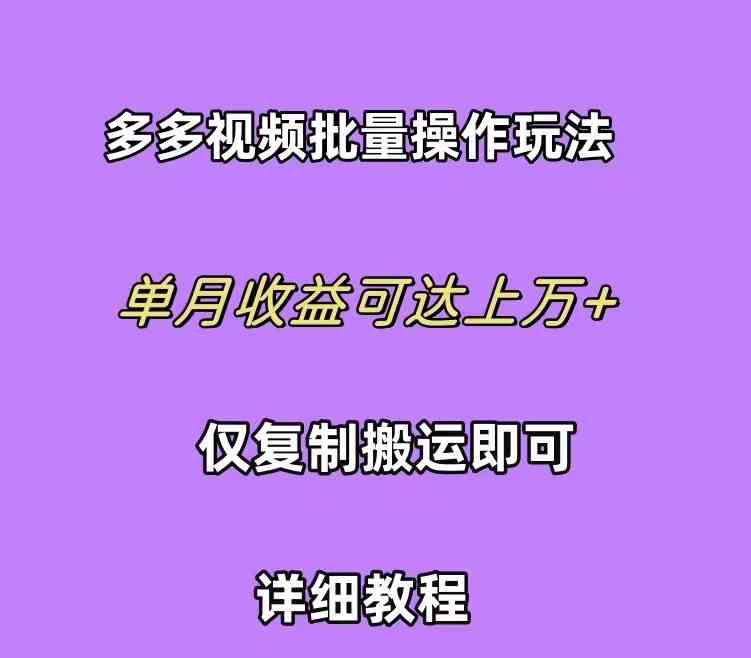 （10029期）拼多多视频带货快速过爆款选品教程 每天轻轻松松赚取三位数佣金 小白必…_111创业网-互联网轻创第一站